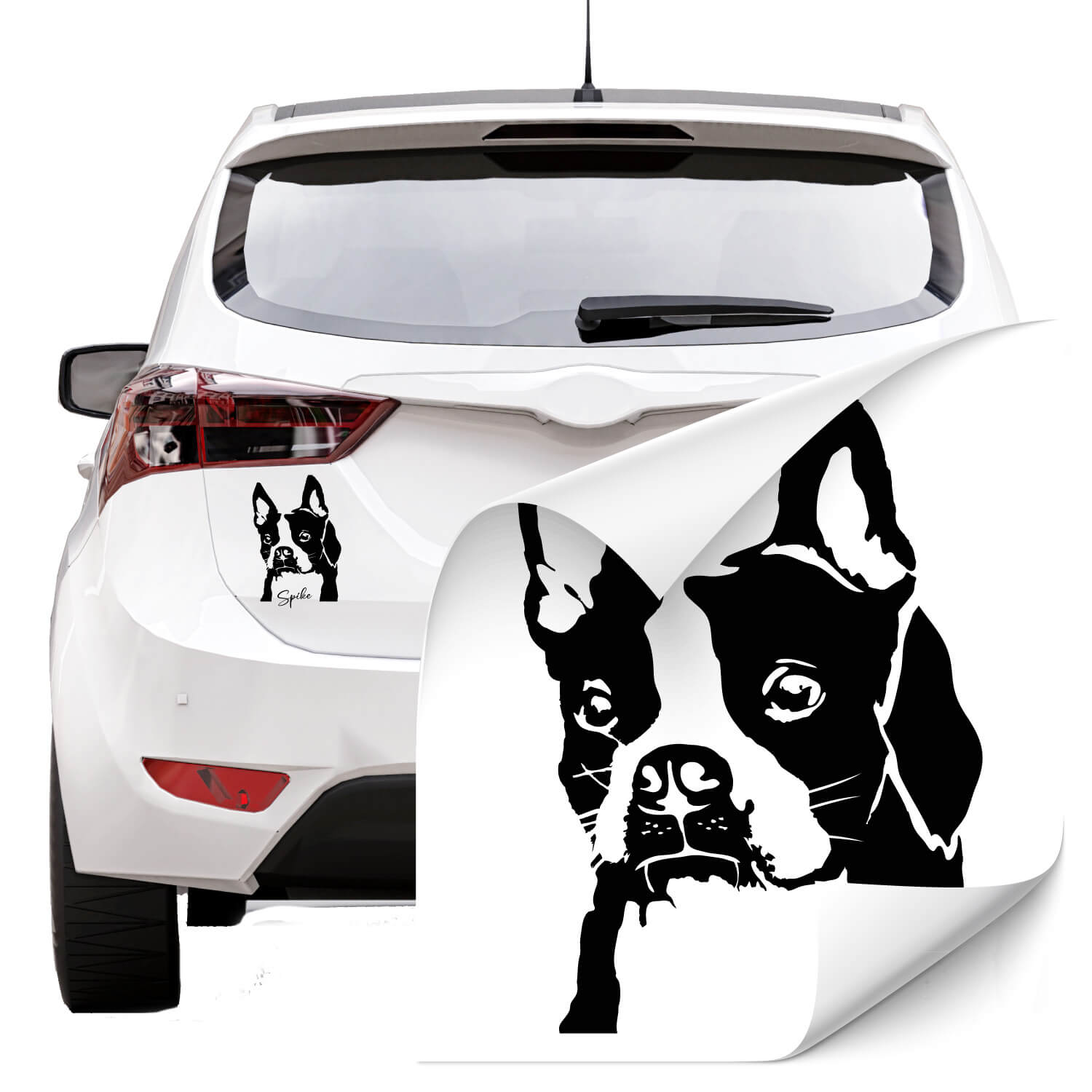 Car Aufkleber mit Boston Terrier jetzt günstig bei Klebe-X kaufen!