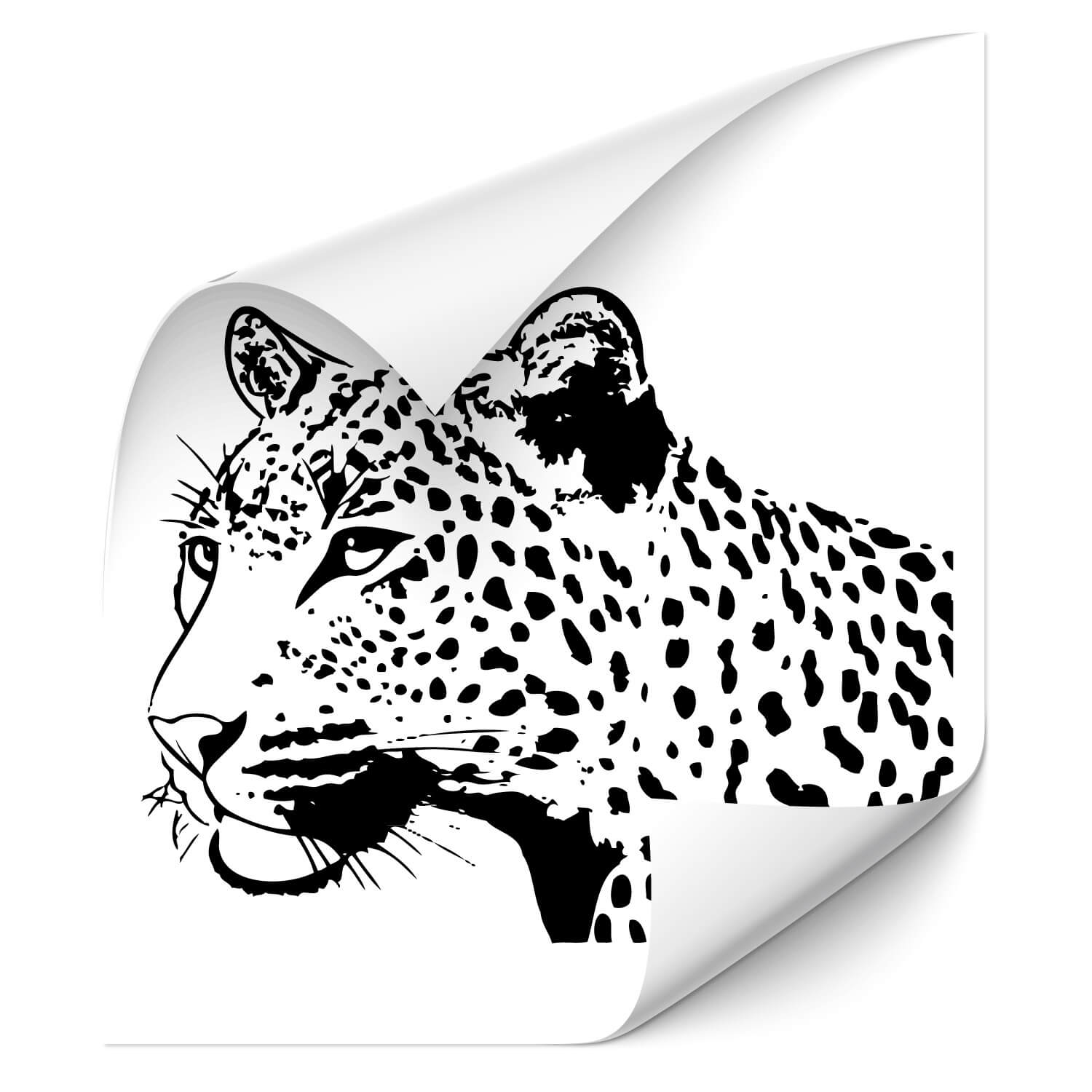 Autoaufkleber im Tiger Design von KLEBE-X Tier Motiv Raubkatze Sticker Aufkleber KB319 