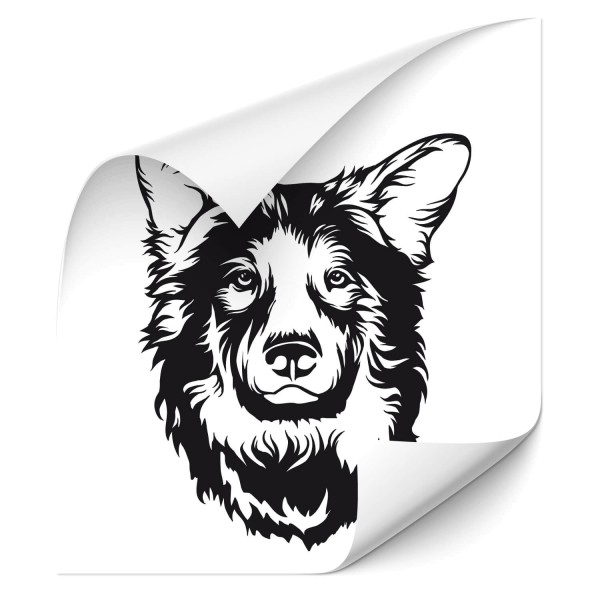 Border Collie Fahrzeug Aufkleber - Kategorie Shop