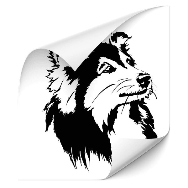 Shetland Sheepdog Heck Sticker - Hunde