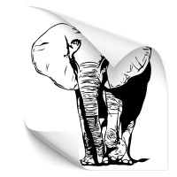 Elefant Motorhauben Aufkleber - Kategorie Shop Elefant Motorhauben Aufkleber - Kategorie Shop