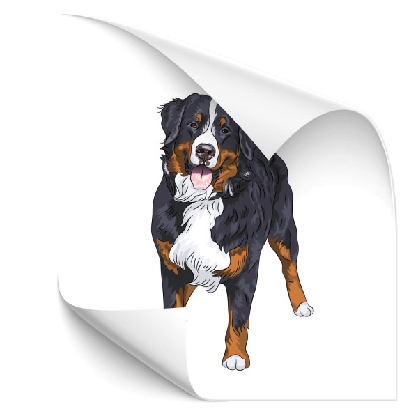 Berner Sennenhund Auto Folienaufkleber - Kategorie Shop