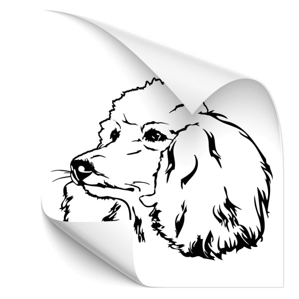 Pudel Heckscheiben Sticker - Hunde