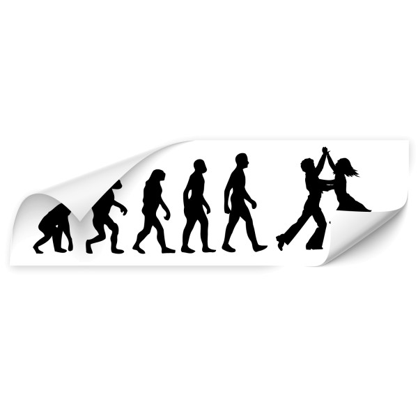 Evolution Kfz Foliensticker - Sport