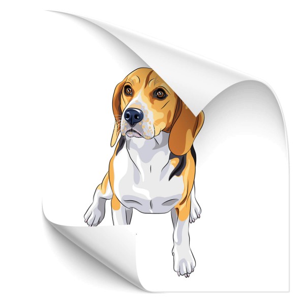 Beagle Heck Sticker - Kategorie Shop