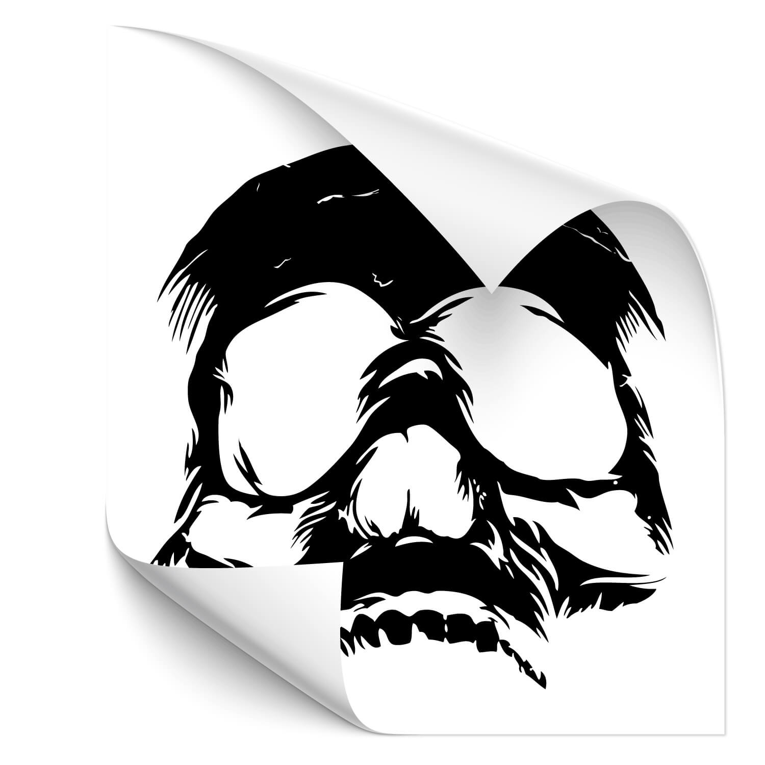Totenkopf Skull Skulls Sticker Aufkleber Autoaufkleber Motorrad Wandtattoo 18