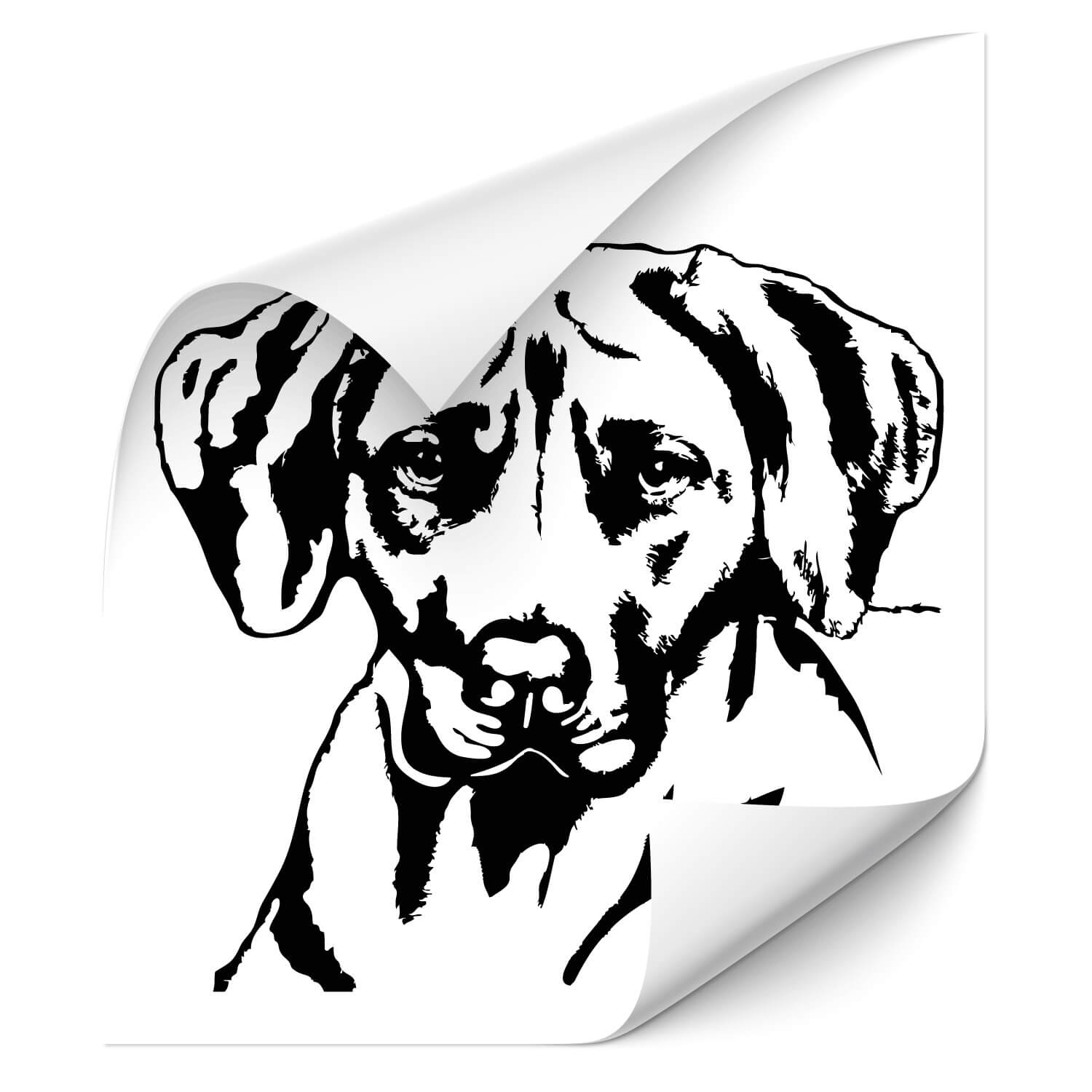 Klebe-X Hundeaufkleber Sportlicher Hund Yoga Dog Sticker lustige Motive Hundesticker Autotatttoo 025V34 