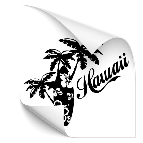Hawaii Surfer Autoaufkleber - Kategorie Shop