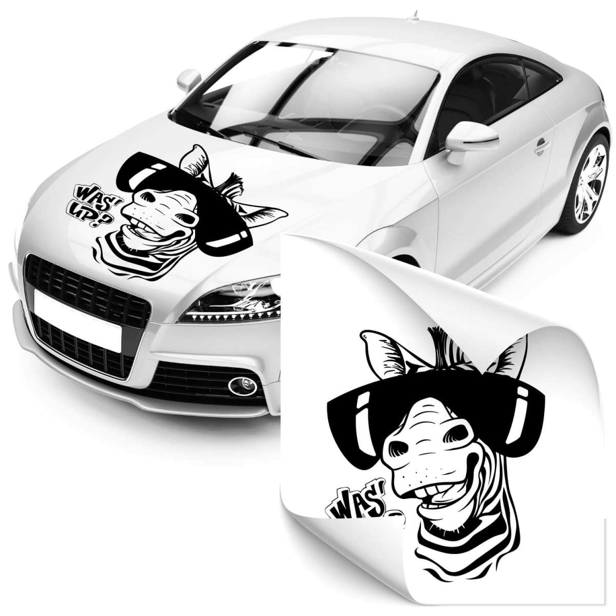 Kfz Aufkleber mit Zebra bei Klebe-X kaufen und erleben!