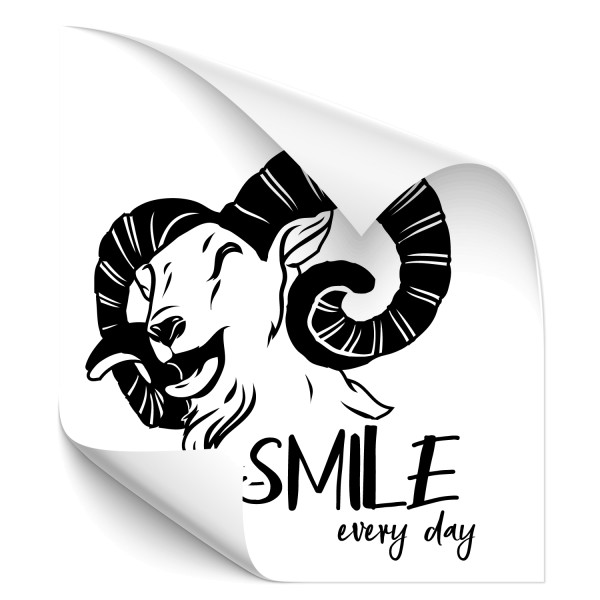 Smile every Day Ziege Fahrzeug Aufkleber - Sprüche | Schriftzüge