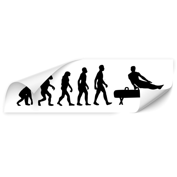 Evolution Fahrzeugaufkleber - Sport