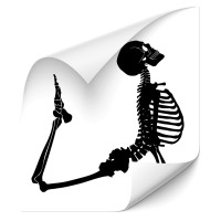 Skelett Fahrzeug Sticker - Totenkopf Skelett Fahrzeug Sticker - Totenkopf