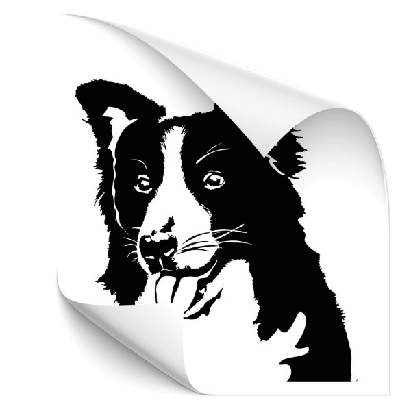 Border Collie Car Tattoo - Hunde