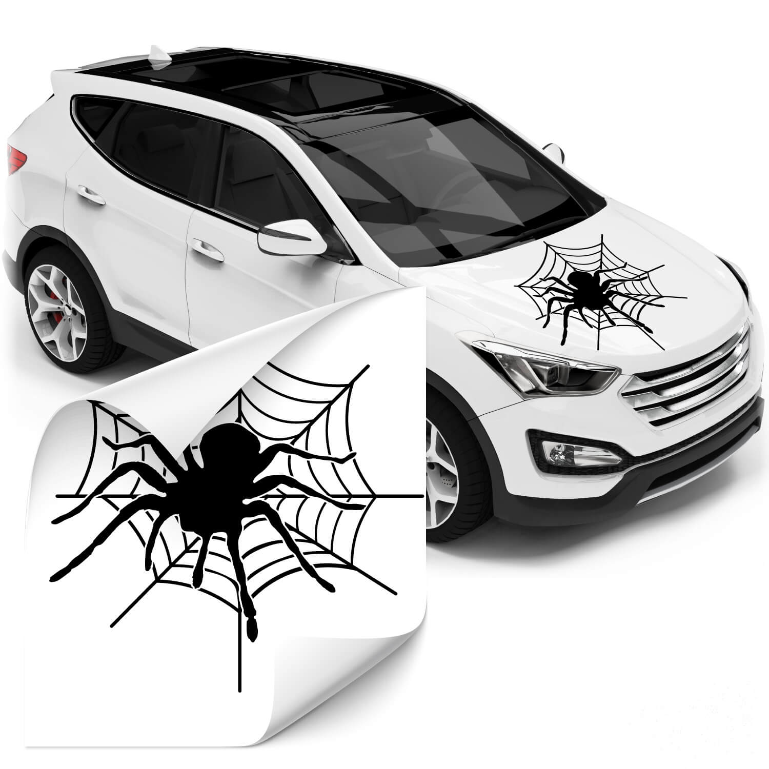 Motorhauben Aufkleber mit Spinne im Netz jetzt günstig bei Klebe-X