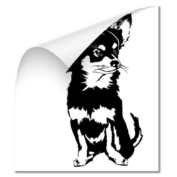 Chihuahua Fahrzeug Foliensticker - Hunde