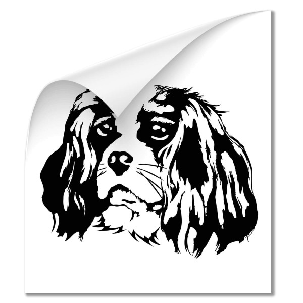 King Cavalier Auto Sticker - Hunde