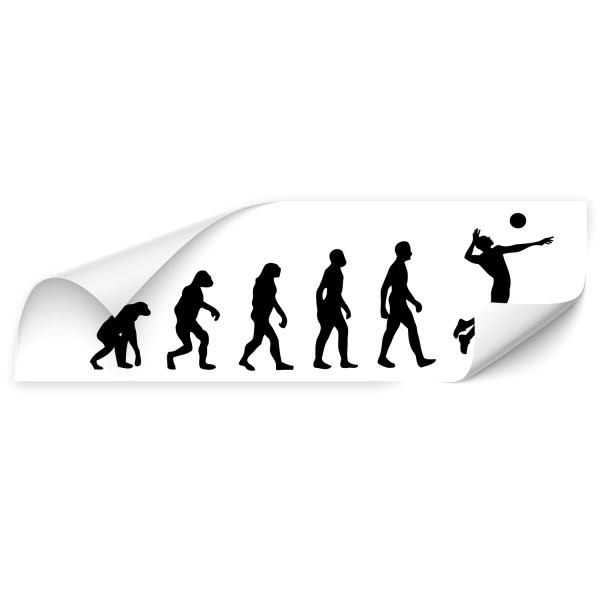 Evolution Fahrzeug Sticker - Sport