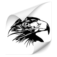 Adlerkopf Kfz Aufkleber - Adler & weitere Vögel Adlerkopf Kfz Aufkleber - Adler & weitere Vögel