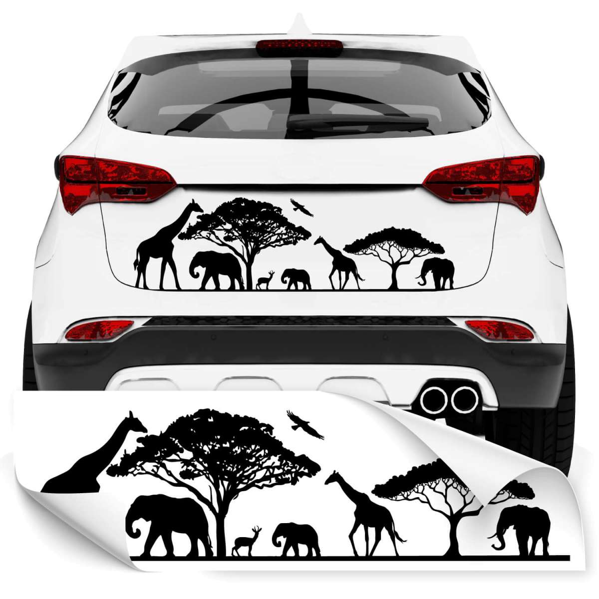 Ordnerrücken Für Breite Und Schmale Ordner In Modernem Design - Foto 6