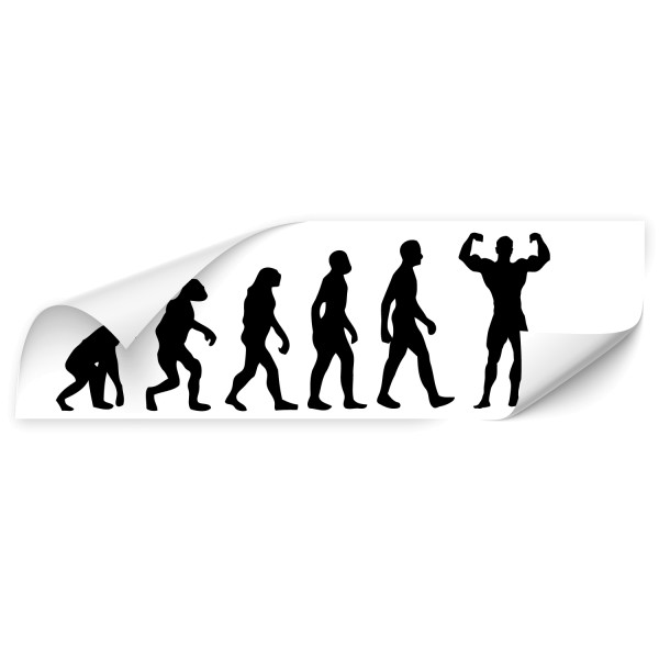 Evolution Car Art Tattoo - Sport