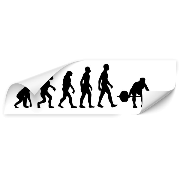 Evolution Kfz Folien Sticker - Sport