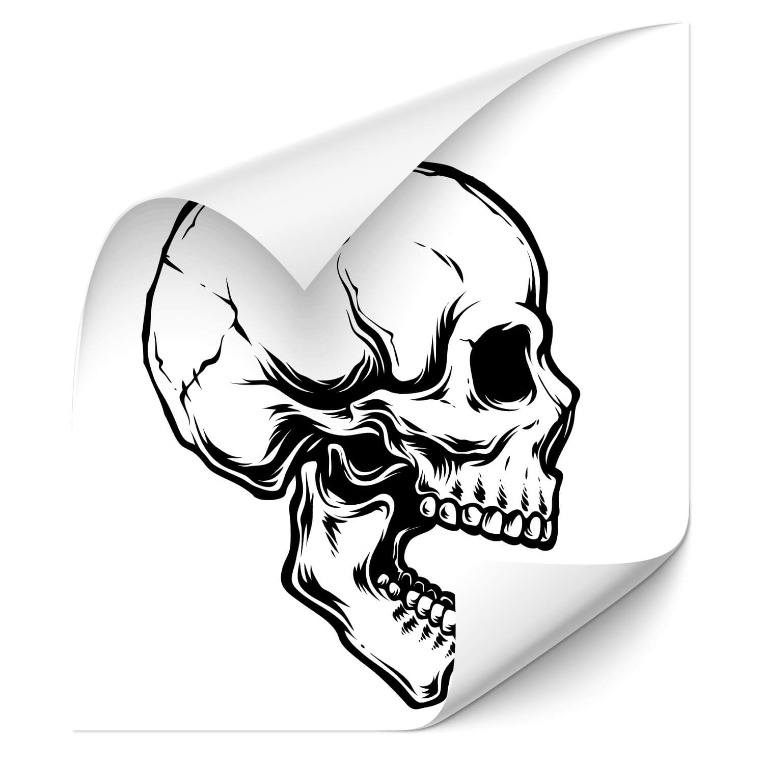 KLEBEKÖNIG - Totenkopf Autoaufkleber - Totenschädel Skull Skelett Rock n  Roll Auto-Aufkleber Heckscheibe Auto Aufkleber Motorhaube Sticker  Heckscheibe Tuning 55x30 cm: : Auto & Motorrad