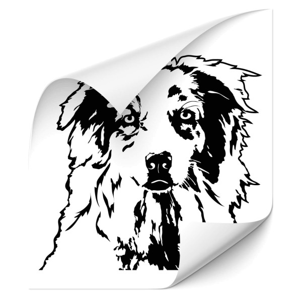 Australian Shepherd Heckscheiben Sticker - Hunde