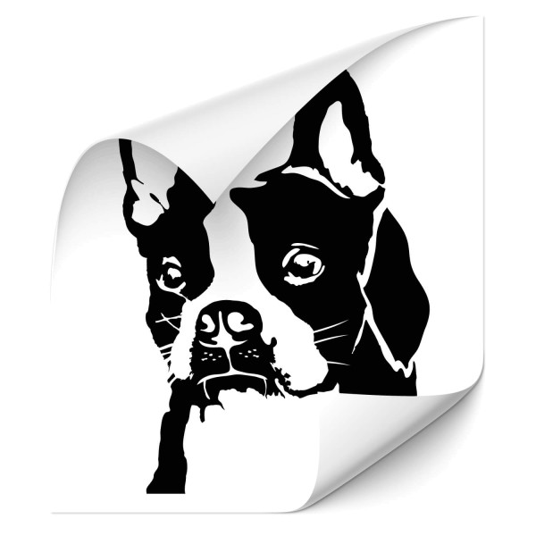 Boston Terrier Car Aufkleber - Hunde