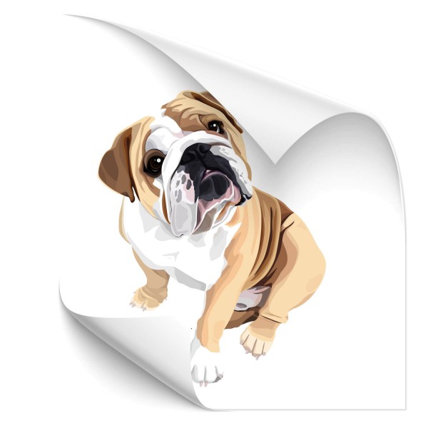 Bulldogge Heck Scheiben Aufkleber - Kategorie Shop