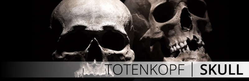 BYNYXI Totenkopf Autoaufkleber, Schädel Auto Motorhaube Aufkleber  Personalisiert Karosserie Skelett Skull Aufkleber Lackkratzer Heckscheibe